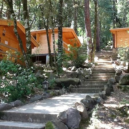 Auberge De La Foret Bonifatu Calenzana Exterior photo